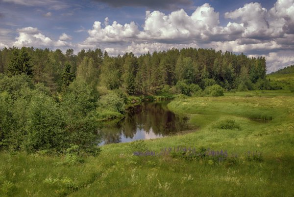 Природа Западной Двины Тверской области