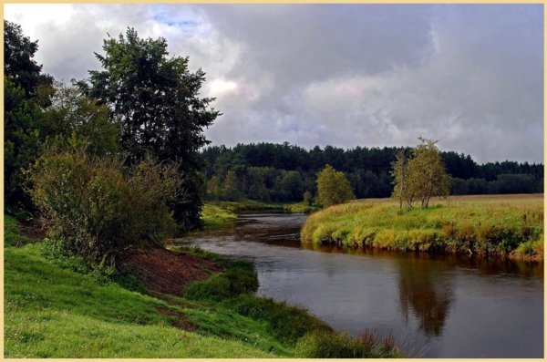 Природа Тверской области