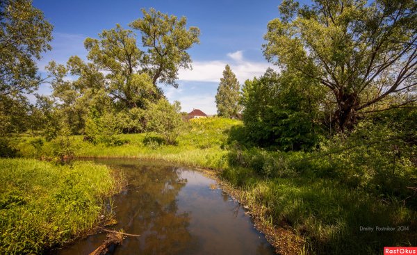 Берег реки Нерль
