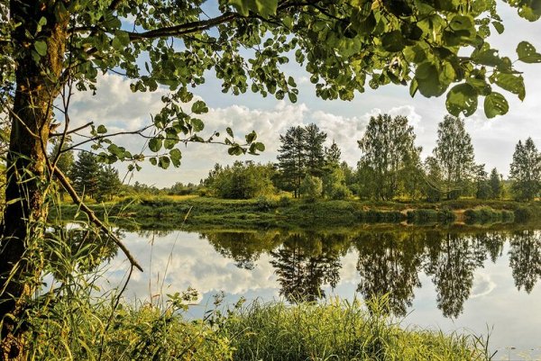 Тверская область природа