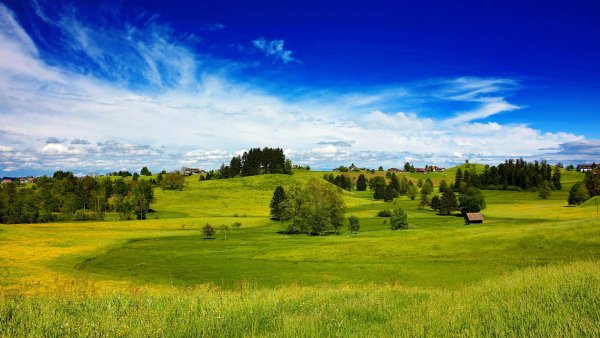 Альпийские Луга Франции