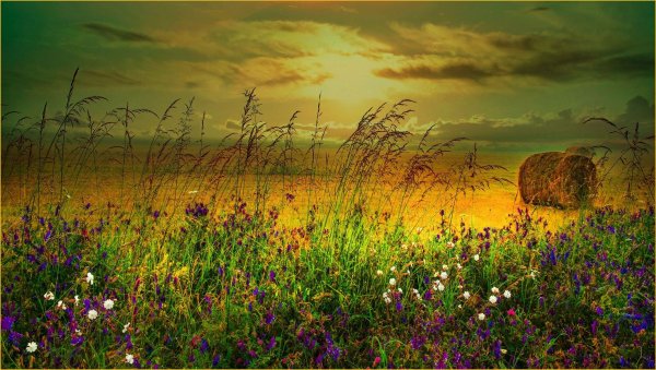 Холмистая равнина Карелии