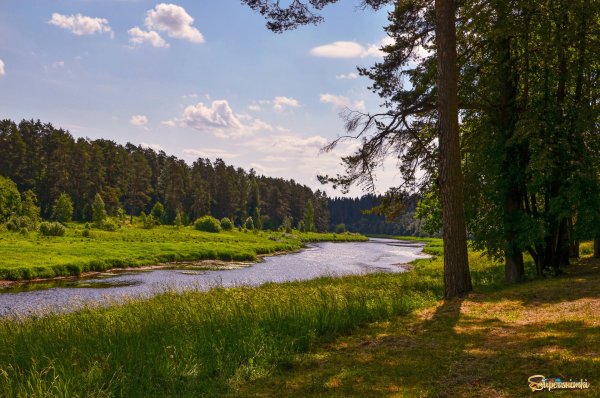 Река Тверца