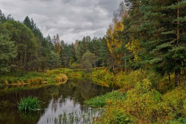 Река Орша Тверская область