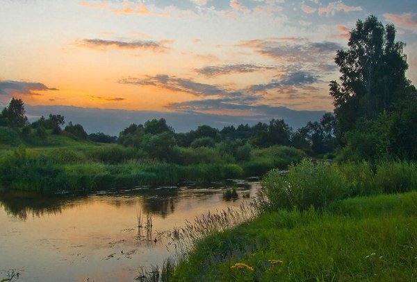 Природа Твери и Тверской области