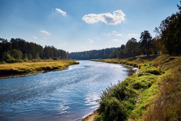 Река Тверца Тверская область Исток