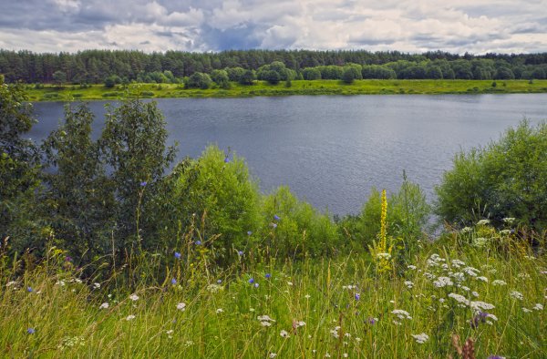 Природа река Волга. Тверская область