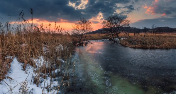 Природа ранней весной
