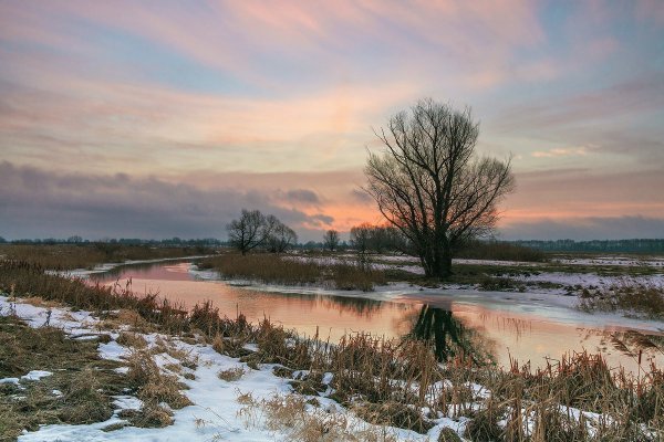 Весна пейзаж