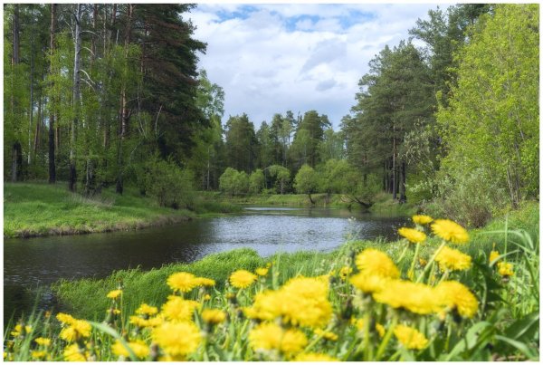 Природа Подмосковья