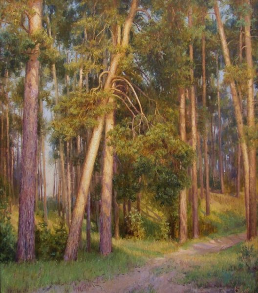 Лукиянов Викентий Волга