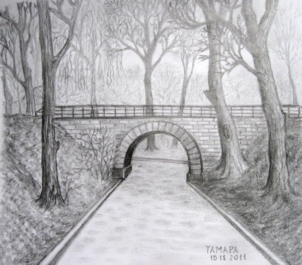 Зарисовки парка карандашом