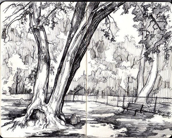 Парк карандашом