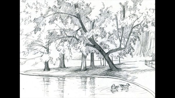 Мостик в парке карандашом