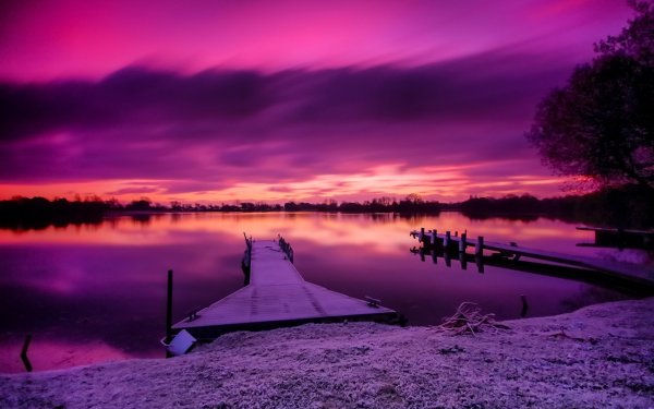 Фиолетовый пейзаж