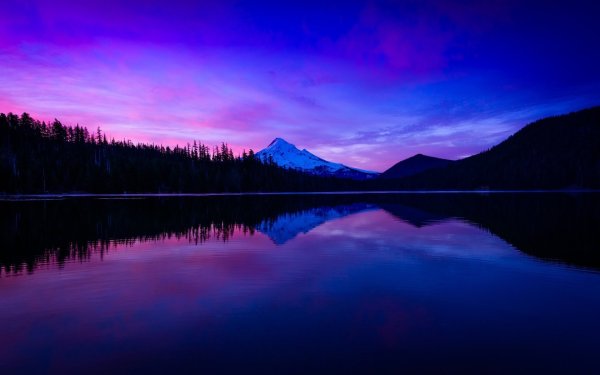 Ночной пейзаж