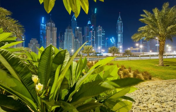 ОАЭ пейзажи