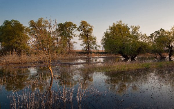 Пейзаж Астраханского края