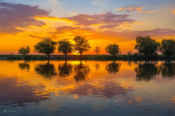 Фёдор Лашков Дельта Волги