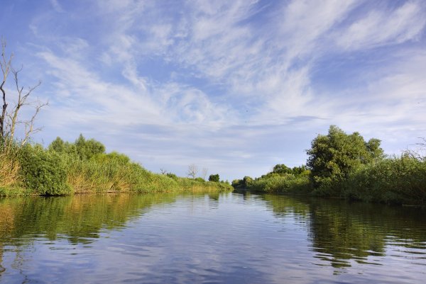 Река Волга Приволжье