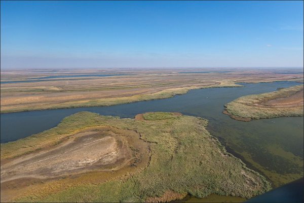 Астраханский биосферный заповедник Трехизбинский