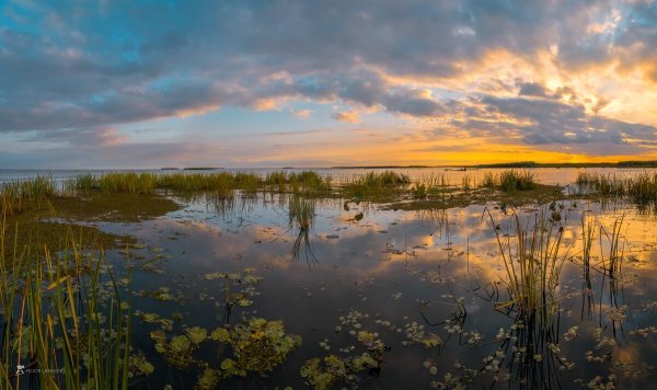 Астраханская природа