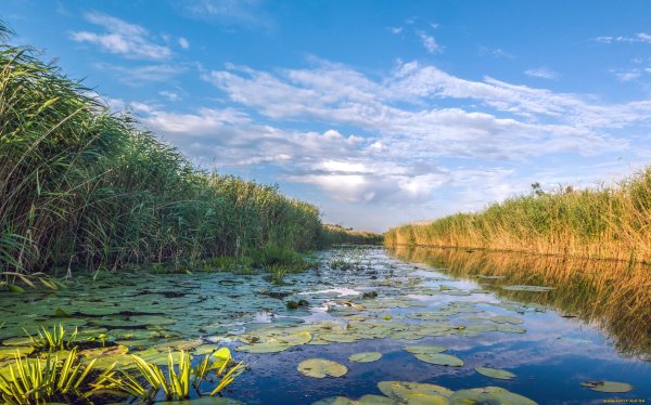 Река Волга Астрахань