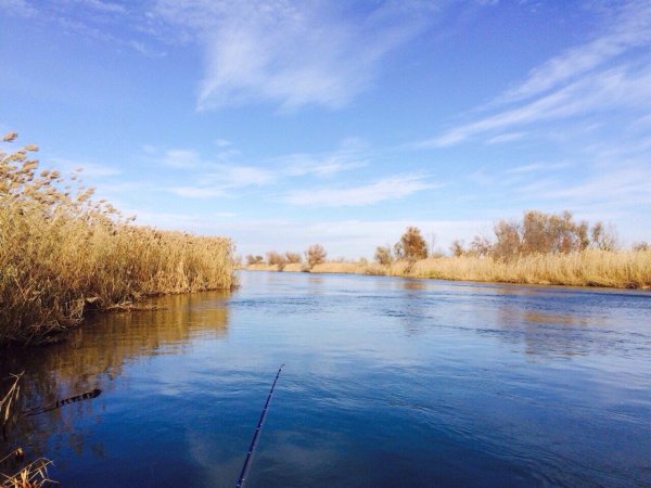 Трехизбинский участок Астраханского заповедника