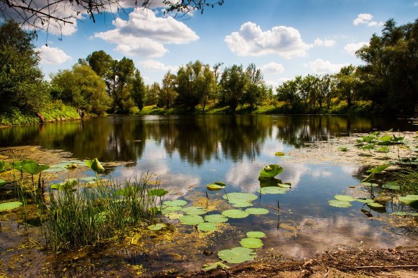 Астраханский биосферный резерват