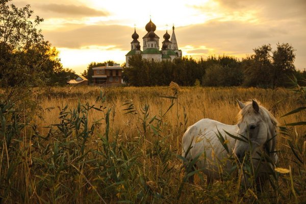 Донской пейзаж Старочеркасская