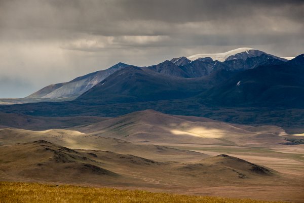 Убсунурская котловина Альпийские Луга
