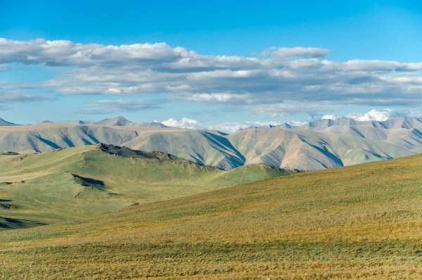 Альпийские Луга Тувы