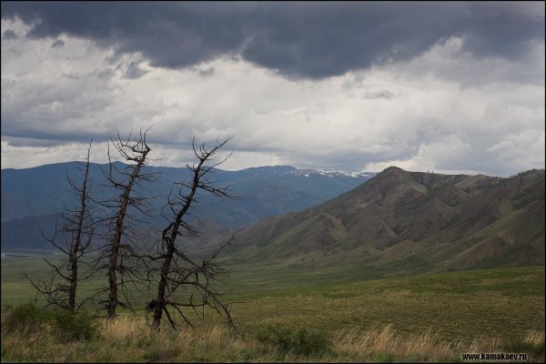 Природа Эрзин Тыва