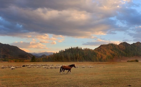 Республика Тыва алдын Булак