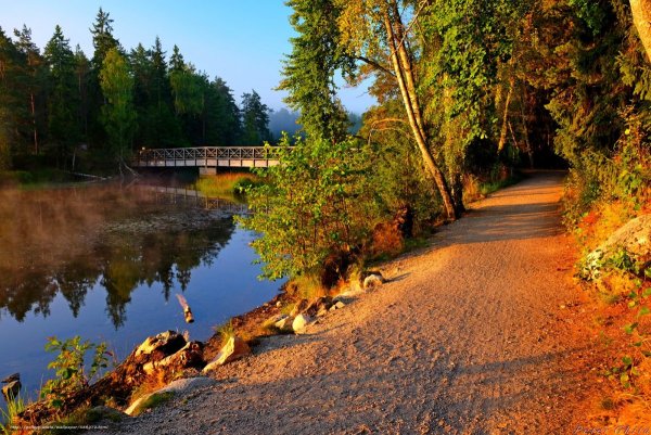 Осенняя дорога река мостик