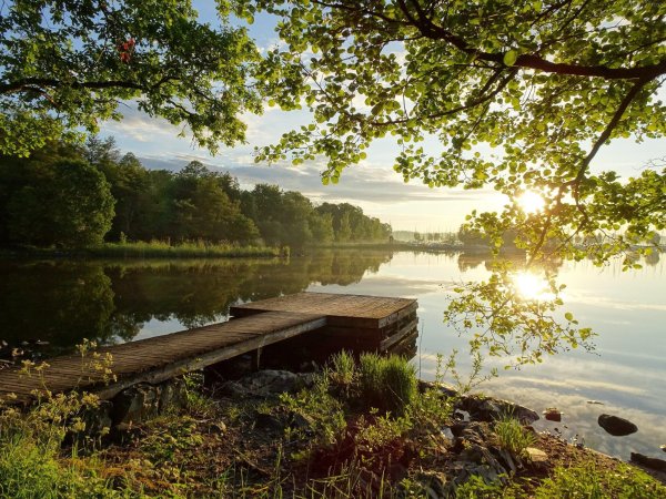 Мостик у реки