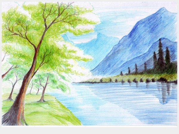 Новая Зеландия Луга