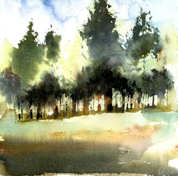 Акварельные этюды Тупоршин Владимир