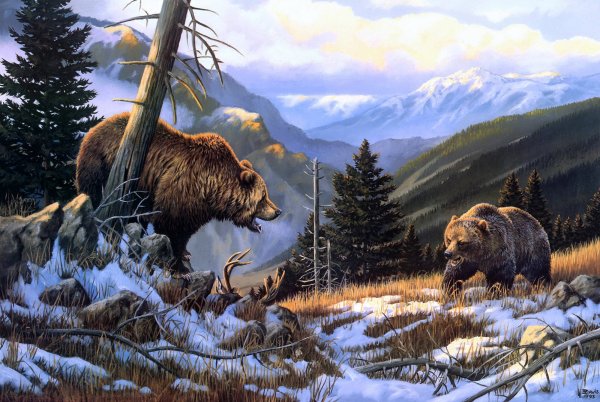 Картина медведь