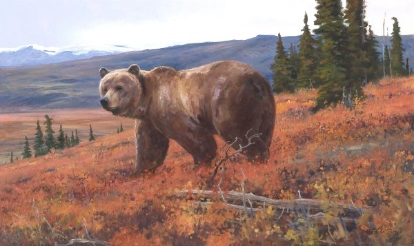 Картина медведь