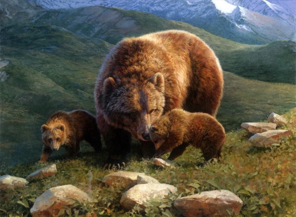 Художник-анималист Бонни Марис