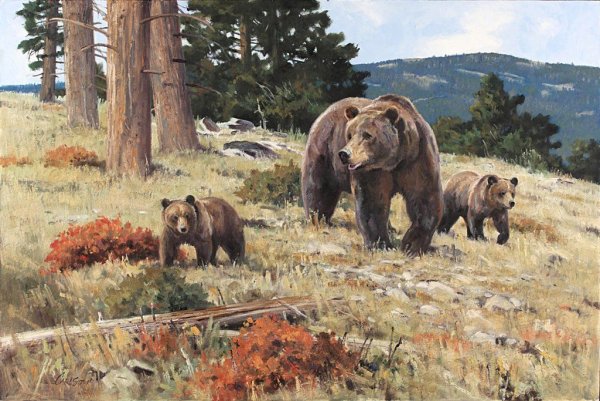 Медведь живопись маслом