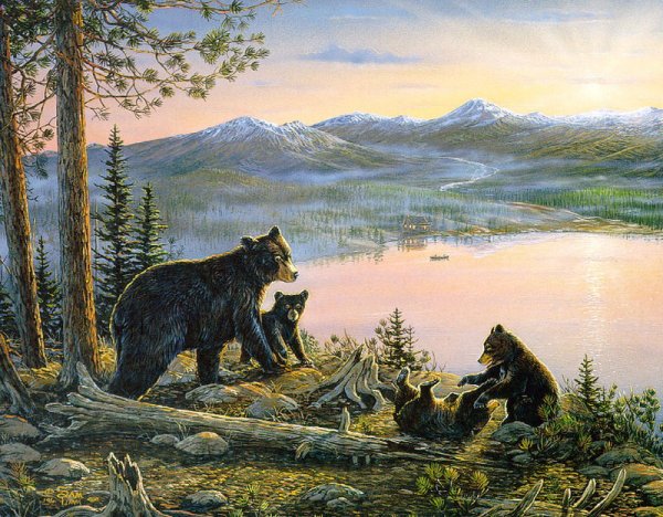 Сэм Тимм художник