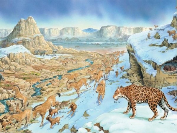 Кайнозойская Эра Ледниковый период