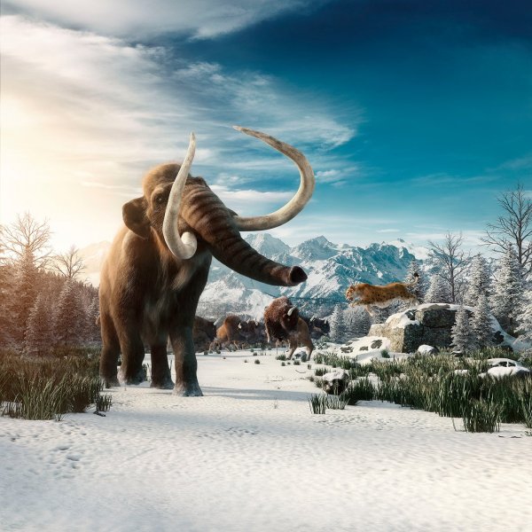 Мэнни из ледникового периода