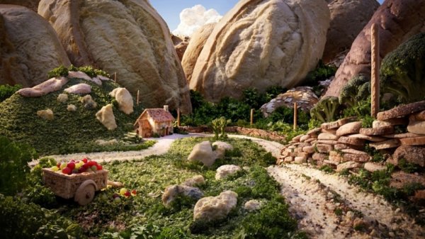 Карл Уорнер «Брэдфорд Сити»