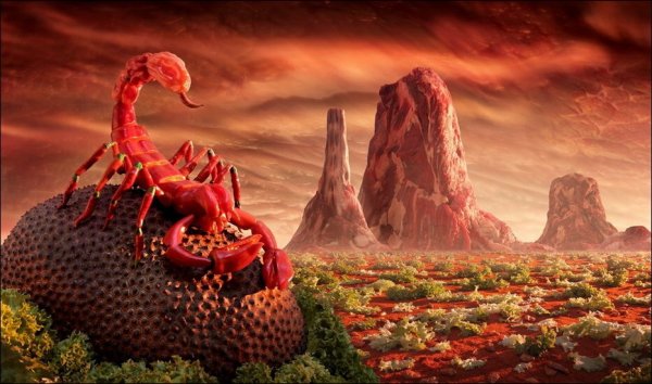 Пейзажи из еды от Карла Уорнера