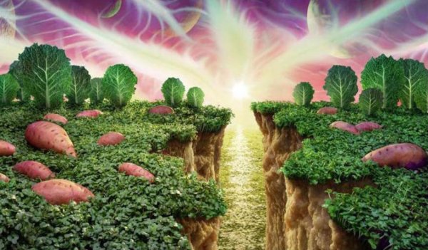 Картины из еды Карла Уорнера