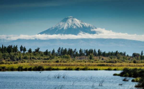 Козыревск Толбачик