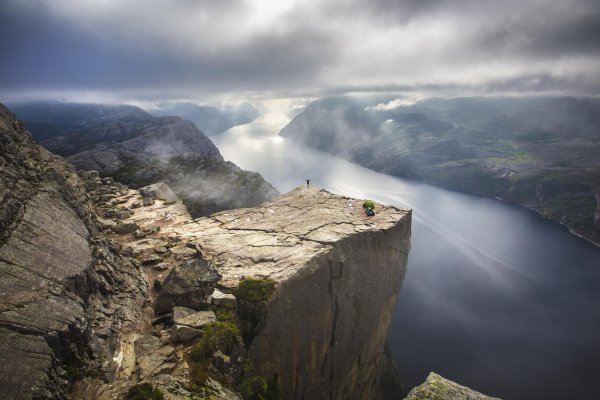 Одинокая сосна Белокуриха